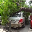 Roving Eye Exclusive: As the Court proceedings continued in the National Consumer Disputes Redressal Commission in Delhi Government’s premises at Vikas Bhawan, New Delhi, an old tree got uprooted adjacent […]