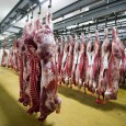 Help of the Indian embassies located in various meat consuming countries is being sought to promote bovine meat export from India. Owing to their tireless efforts, some embassies have been […]